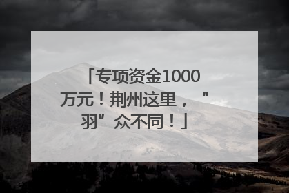 专项资金1000万元！荆州这里，“羽”众不同！