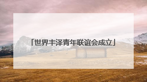 世界丰泽青年联谊会成立