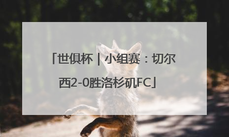 世俱杯｜小组赛：切尔西2-0胜洛杉矶FC