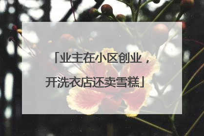 业主在小区创业，开洗衣店还卖雪糕