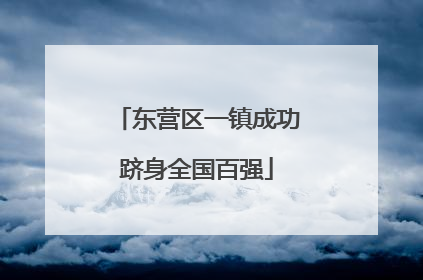 东营区一镇成功跻身全国百强