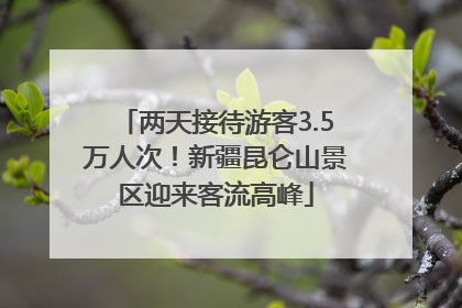 两天接待游客3.5万人次！新疆昆仑山景区迎来客流高峰