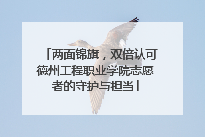 两面锦旗，双倍认可德州工程职业学院志愿者的守护与担当