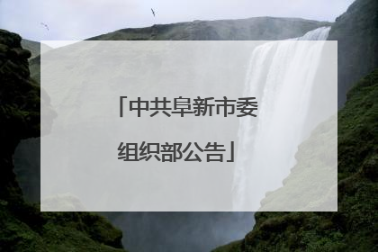 中共阜新市委组织部公告