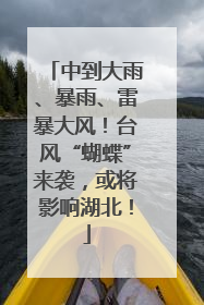 中到大雨、暴雨、雷暴大风！台风“蝴蝶”来袭，或将影响湖北！