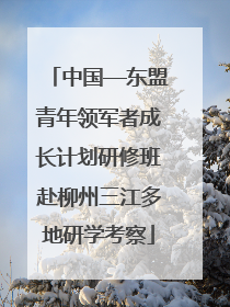 中国—东盟青年领军者成长计划研修班赴柳州三江多地研学考察