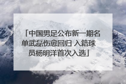 中国男足公布新一期名单武磊伤愈回归 入籍球员杨明洋首次入选