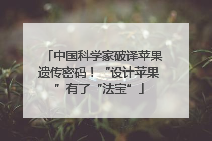 中国科学家破译苹果遗传密码！“设计苹果”有了“法宝”