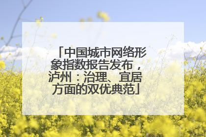 中国城市网络形象指数报告发布，泸州：治理、宜居方面的双优典范