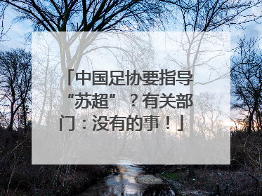 中国足协要指导“苏超”？有关部门：没有的事！