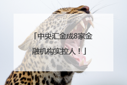 中央汇金成8家金融机构实控人！