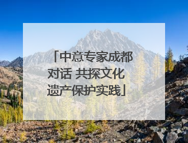 中意专家成都对话 共探文化遗产保护实践