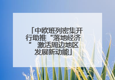 中欧班列密集开行助推“落地经济” 激活周边地区发展新动能