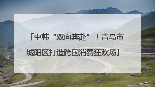 中韩“双向奔赴”！青岛市城阳区打造跨国消费狂欢场