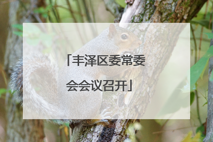 丰泽区委常委会会议召开