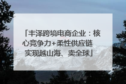 丰泽跨境电商企业：核心竞争力+柔性供应链 实现越山海、卖全球