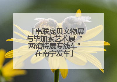 串联庞贝文物展与毕加索艺术展“两馆特展专线车”在南宁发车