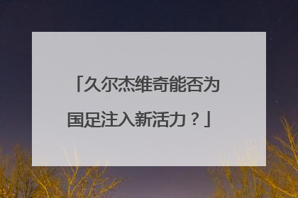 久尔杰维奇能否为国足注入新活力？