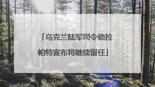 乌克兰陆军司令德拉帕特宣布将继续留任