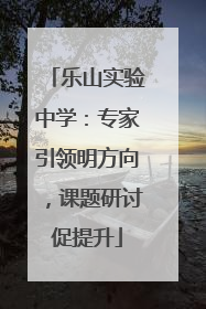 乐山实验中学：专家引领明方向，课题研讨促提升