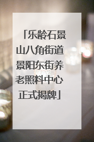 乐龄石景山八角街道景阳东街养老照料中心正式揭牌