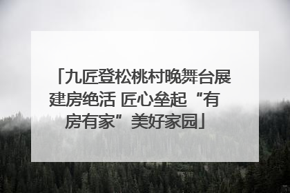 九匠登松桃村晚舞台展建房绝活 匠心垒起“有房有家”美好家园