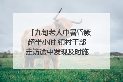 九旬老人中暑昏厥超半小时 镇村干部走访途中发现及时施救｜看见正能量