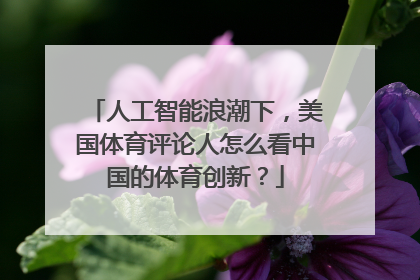 人工智能浪潮下，美国体育评论人怎么看中国的体育创新？