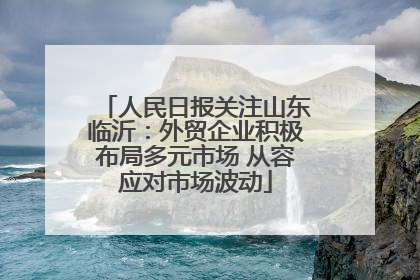 人民日报关注山东临沂：外贸企业积极布局多元市场 从容应对市场波动