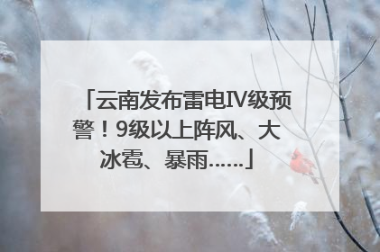 云南发布雷电Ⅳ级预警！9级以上阵风、大冰雹、暴雨……