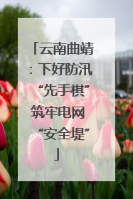云南曲靖：下好防汛“先手棋” 筑牢电网“安全堤”