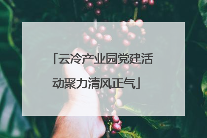 云冷产业园党建活动聚力清风正气