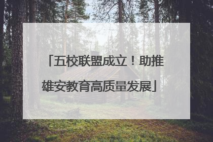 五校联盟成立！助推雄安教育高质量发展