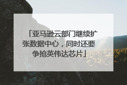 亚马逊云部门继续扩张数据中心，同时还要争抢英伟达芯片