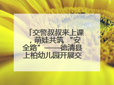 交警叔叔来上课，萌娃共筑 “安全路”——德清县上柏幼儿园开展交通安全课