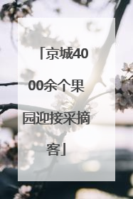京城4000余个果园迎接采摘客