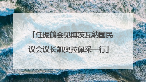 任振鹤会见博茨瓦纳国民议会议长凯奥拉佩采一行