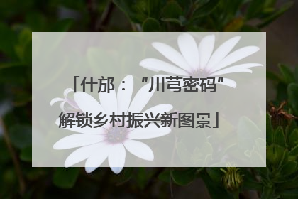 什邡：“川芎密码”解锁乡村振兴新图景