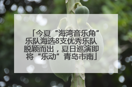 今夏“海湾音乐角”乐队海选8支优秀乐队脱颖而出，夏日巡演即将“乐动”青岛市南