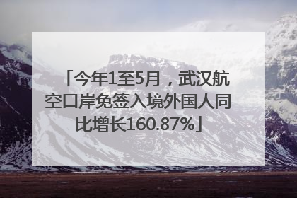 今年1至5月，武汉航空口岸免签入境外国人同比增长160.87%