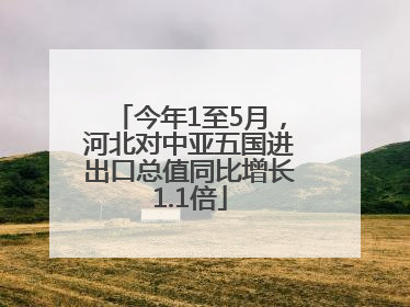 今年1至5月，河北对中亚五国进出口总值同比增长1.1倍