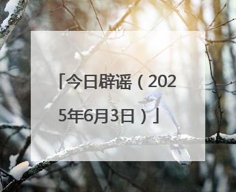 今日辟谣（2025年6月3日）