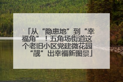 从“隐患地”到“幸福角”！五角场街道这个老旧小区党建微花园“靓”出幸福新图景
