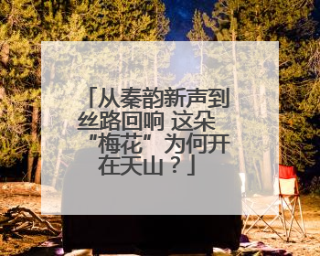 从秦韵新声到丝路回响 这朵“梅花”为何开在天山？