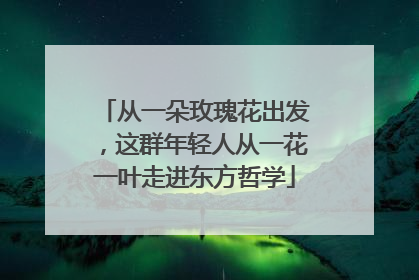 从一朵玫瑰花出发，这群年轻人从一花一叶走进东方哲学