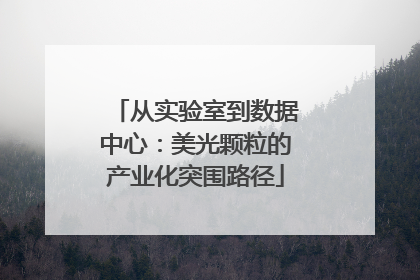 从实验室到数据中心：美光颗粒的产业化突围路径