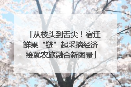 从枝头到舌尖！宿迁鲜果“链”起采摘经济绘就农旅融合新图景