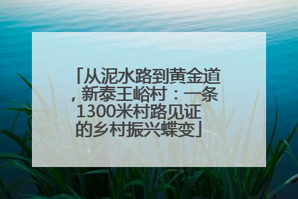 从泥水路到黄金道，新泰王峪村：一条1300米村路见证的乡村振兴蝶变