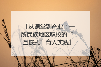 从课堂到产业：一所民族地区职校的“互嵌式”育人实践