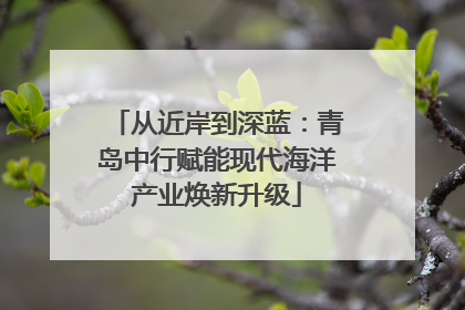 从近岸到深蓝：青岛中行赋能现代海洋产业焕新升级